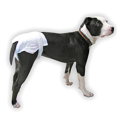 Super Absorbent Soft Disposable Female Dog Diapers