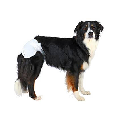 Super Absorbent Soft Disposable Female Dog Diapers